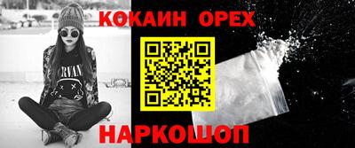 гашик Камышлов
