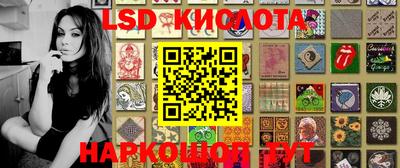 гашик Камышлов