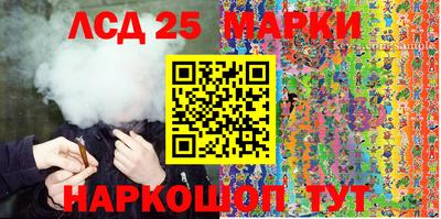 гашик Камышлов