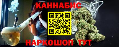 гашик Камышлов