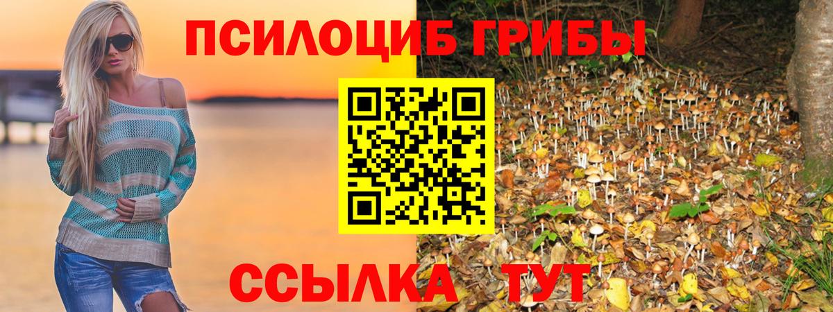 Галлюциногенные грибы Cubensis Магадан
